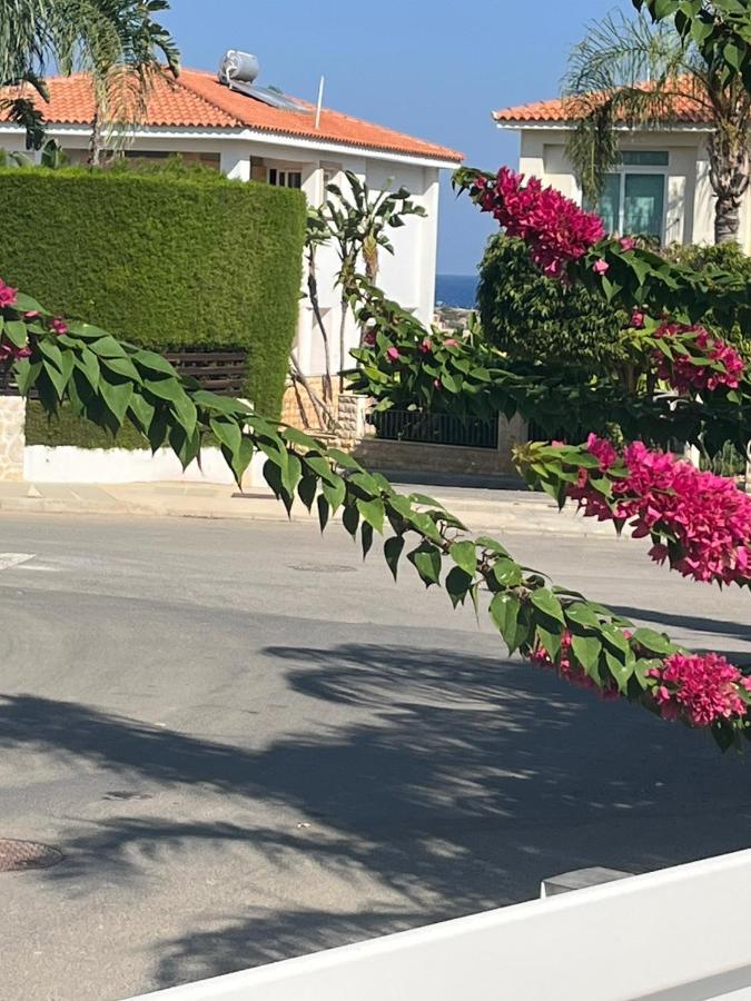 Zoe'S Villa By Turtle Bay Protaras Zewnętrze zdjęcie